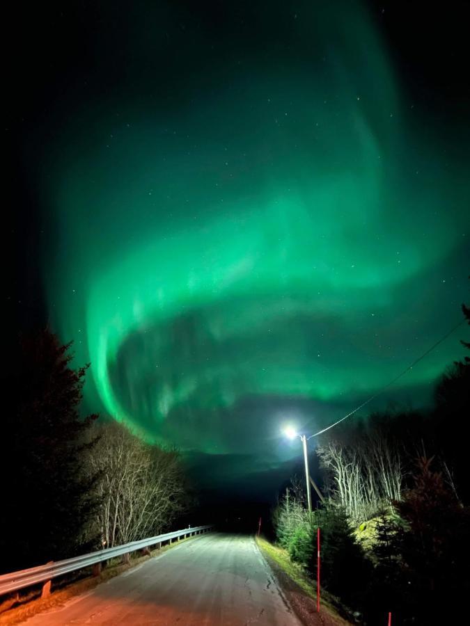 Ferienhaus Sydalen House *